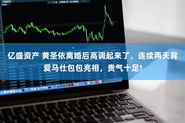 亿盛资产 黄圣依离婚后高调起来了，连续两天背爱马仕包包亮相，贵气十足!