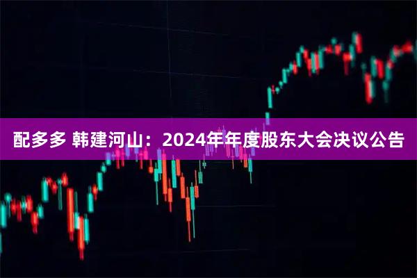 配多多 韩建河山：2024年年度股东大会决议公告