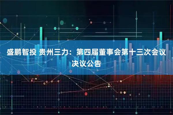 盛鹏智投 贵州三力：第四届董事会第十三次会议决议公告