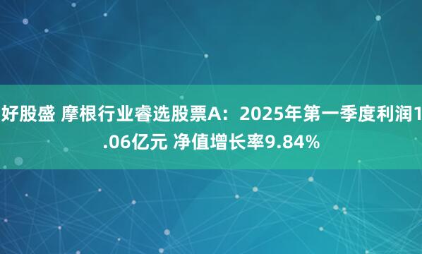 好股盛 摩根行业睿选股票A：2025年第一季度利润1.06亿元 净值增长率9.84%