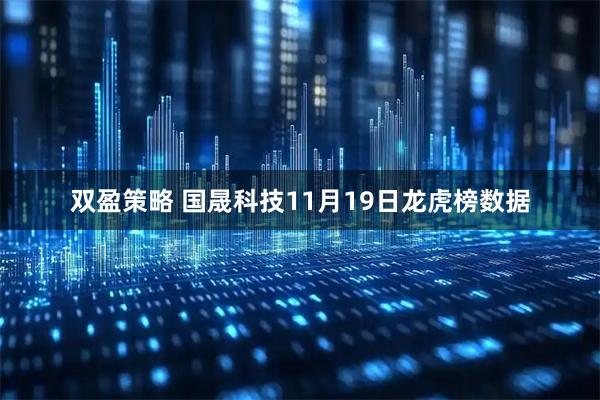 双盈策略 国晟科技11月19日龙虎榜数据