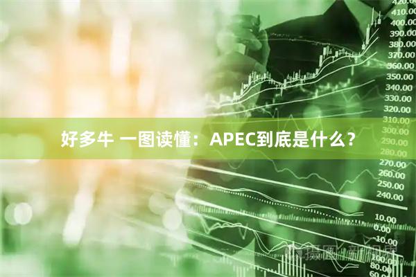 好多牛 一图读懂：APEC到底是什么？